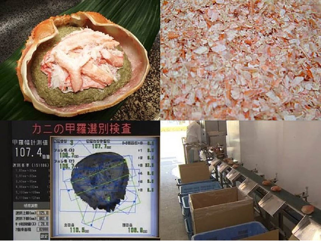 ハマダセイのSDGs01