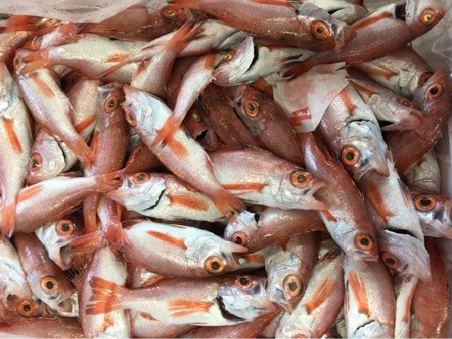 ハマダセイのSDGs02