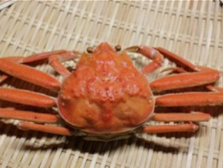 セコがに(ずわいがにのメス)