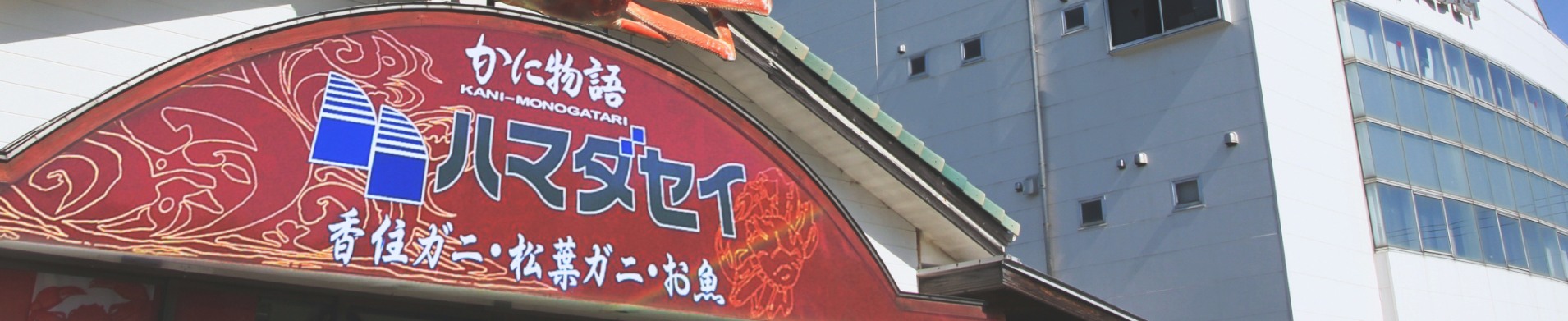 ハマダセイの販売・広報活動