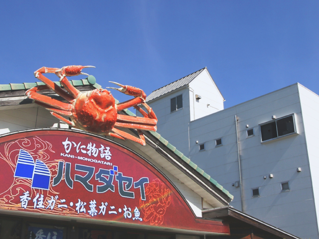 ハマダセイのSDGs05